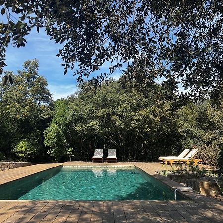 La Canopee Private Ecolodges Nîmes Zewnętrze zdjęcie