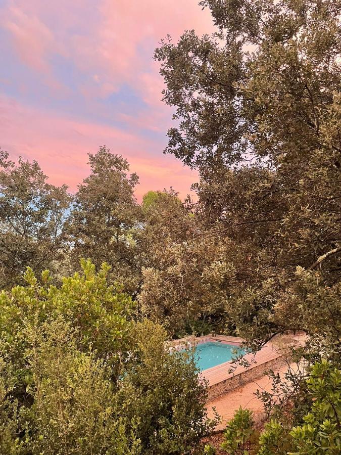 La Canopee Private Ecolodges Nîmes Zewnętrze zdjęcie